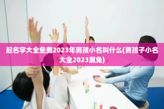 起名字大全免费2023年男孩小名叫什么(男孩子小名大全2023属兔)