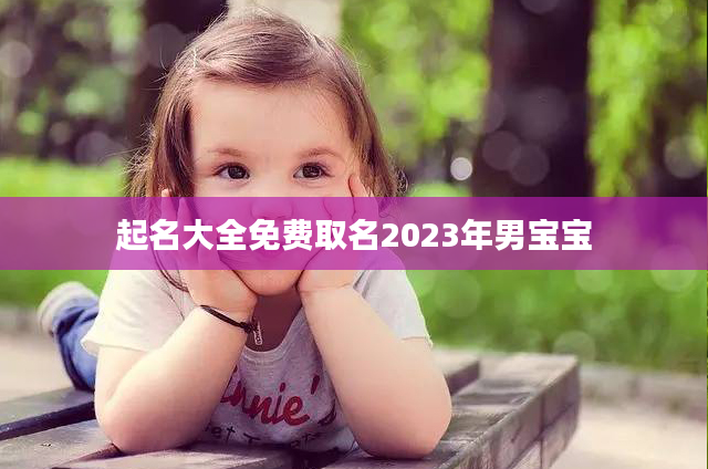 起名大全免费取名2023年男宝宝