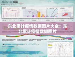 东北累计疫情数据图片大全：东北累计疫情数据图片
