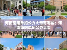 河南南阳单招公办大专有哪些；河南南阳单招公办大专
