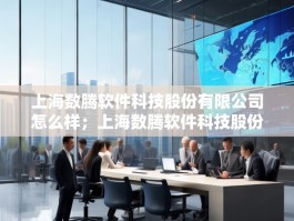 上海数腾软件科技股份有限公司怎么样；上海数腾软件科技股份有限公司
