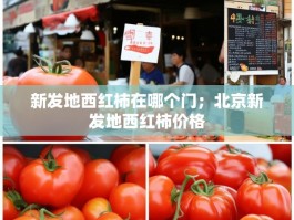 新发地西红柿在哪个门；北京新发地西红柿价格