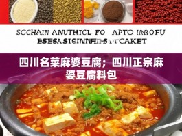四川名菜麻婆豆腐；四川正宗麻婆豆腐料包