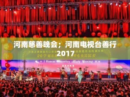 河南慈善晚会；河南电视台善行2017