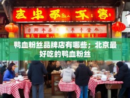 鸭血粉丝品牌店有哪些；北京最好吃的鸭血粉丝