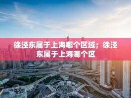 徐泾东属于上海哪个区域；徐泾东属于上海哪个区