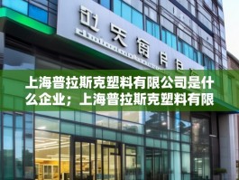 上海普拉斯克塑料有限公司是什么企业；上海普拉斯克塑料有限公司