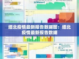 缅北疫情最新报告数据图：缅北疫情最新报告数据