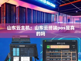 山东云主机；山东云终端pos是真的吗