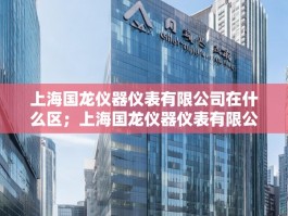 上海国龙仪器仪表有限公司在什么区；上海国龙仪器仪表有限公司