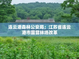 连云港森林公安局；江苏省连云港市国营林场改革