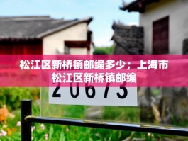 松江区新桥镇邮编多少；上海市松江区新桥镇邮编