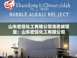 山东宏信化工有限公司泡花碱项目；山东宏信化工有限公司