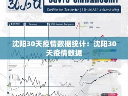 沈阳30天疫情数据统计：沈阳30天疫情数据