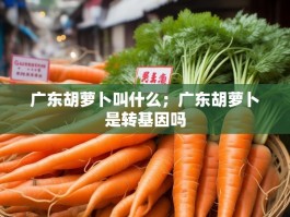 广东胡萝卜叫什么；广东胡萝卜是转基因吗