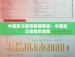 中国武汉疫情数据图表：中国武汉疫情数据图