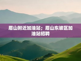眉山附近加油站；眉山东坡区加油站招聘