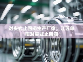 对夹式止回阀生产厂家；江苏单瓣对夹式止回阀