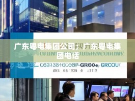 广东粤电集团公司；广东粤电集团电话
