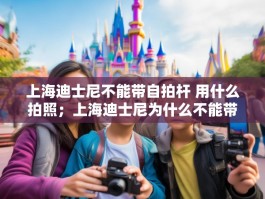 上海迪士尼不能带自拍杆 用什么拍照；上海迪士尼为什么不能带自拍杆