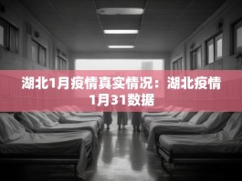湖北1月疫情真实情况：湖北疫情1月31数据