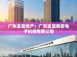 广东富盈地产；广东富盈精密电子科技有限公司