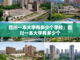 四川一本大学有多少个学校；四川一本大学有多少个