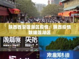 陕西西安莲湖区疫情：陕西疫情数据莲湖区