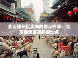 北京通州区卖狗的地点在哪；北京通州区卖狗的地点