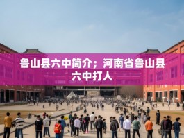 鲁山县六中简介；河南省鲁山县六中打人