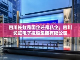 四川长虹是国企还是私企；四川长虹电子控股集团有限公司