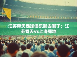 江苏舜天足球俱乐部去哪了；江苏舜天vs上海绿地