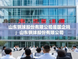 山东钢球股份有限公司是国企吗；山东钢球股份有限公司