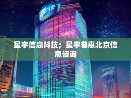 星宇信息科技；星宇普惠北京信息咨询